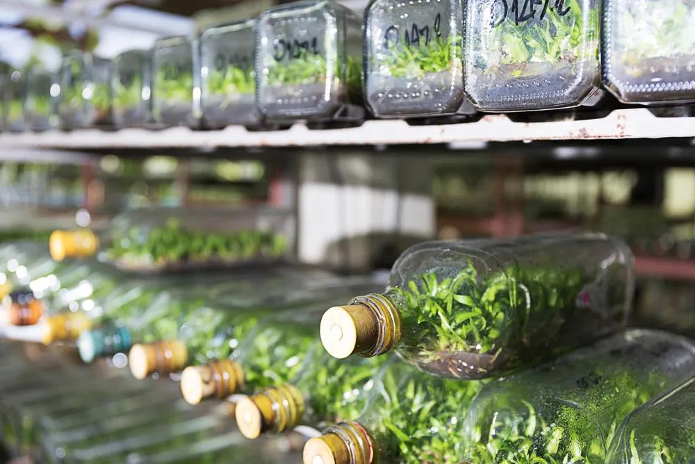 1625103959329111.jpeg 1625103959329111.jpeg